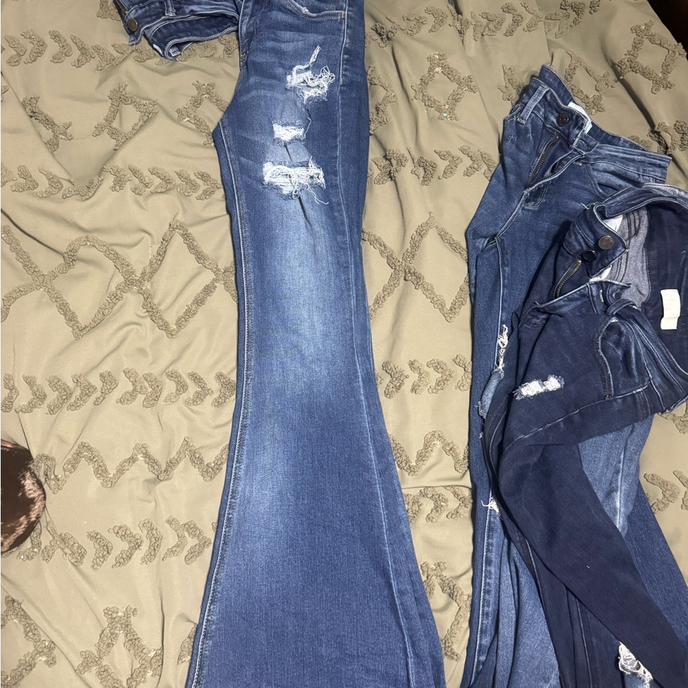Buckle Blue Flare Jeans for Women